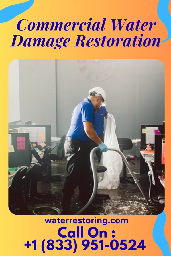 Commercial Water Damage Restoration in Eldred, IL