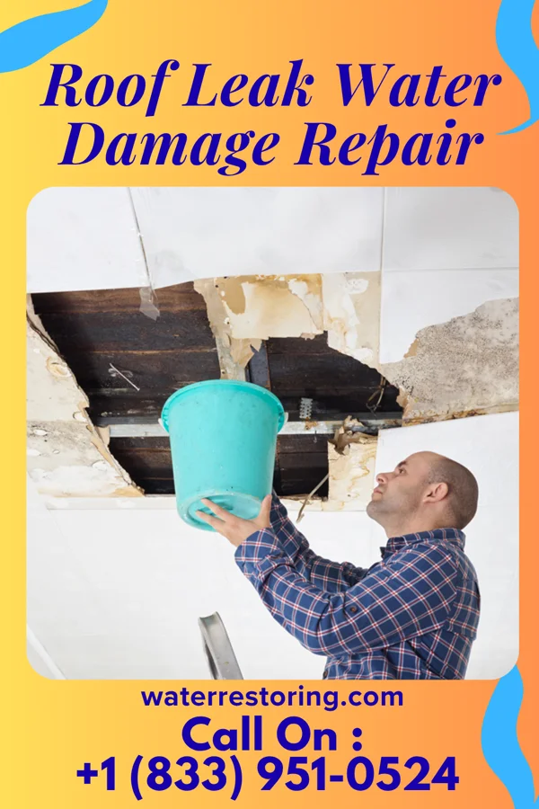 Roof Leak Water Damage Repair in Eldred, IL