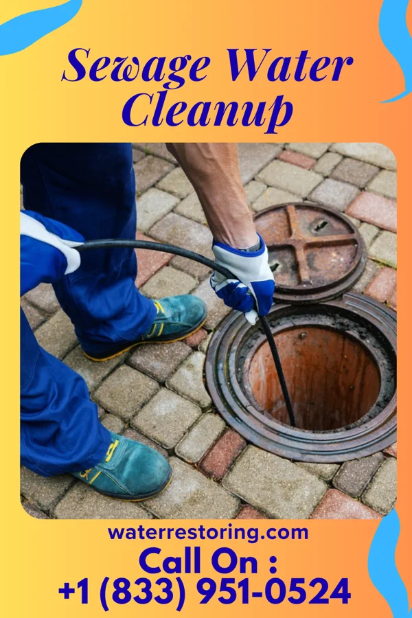 Sewage Water Cleanup in Eldred, IL