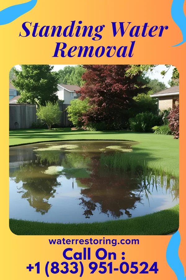 Standing Water Removal in Eldred, IL